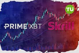Comprehensive Insights About PrimeXBT